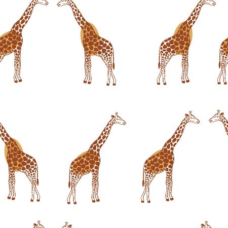 Hand drawn giraffes on white background. Vector seamless pattern.のイラスト素材