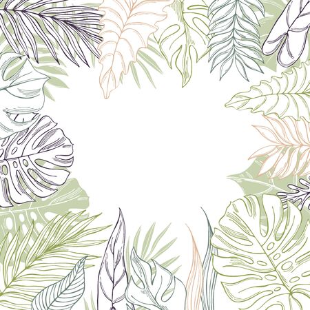 Vector background  with  hand drawn tropical plants. Palm  and monstera leaves.のイラスト素材
