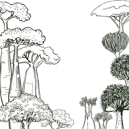 Hand drawn succulents  and trees of Africa. Vector background. Sketch illustration.のイラスト素材