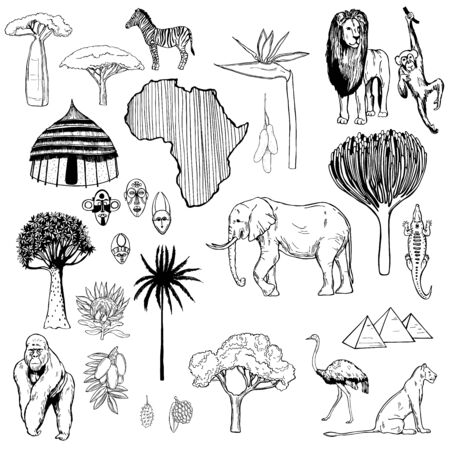 Africa set. Vector sketch illustration.のイラスト素材