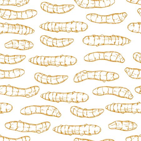 Hand drawn spiceTurmeric. Vector seamless pattern. Sketch illustrationのイラスト素材