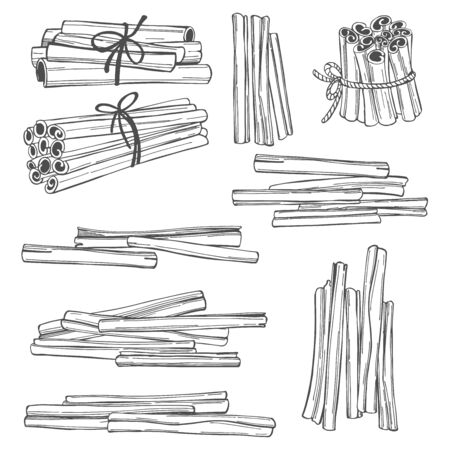 Ð¡innamon. Hand drawn sketch illustrationのイラスト素材