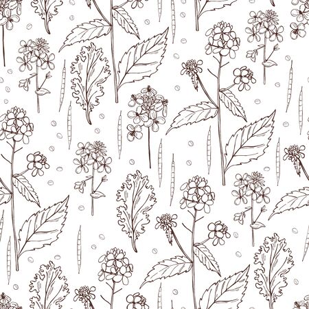 Hand-drawn mustard plant.  Vector  seamless pattern.のイラスト素材