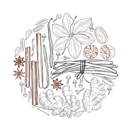 Spices for dessert and baking. Hand drawn sketch illustrationのイラスト素材