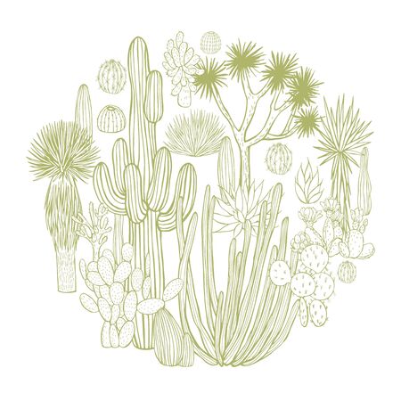 Desert plants, cacti in a circle. Vector sketch  illustration.のイラスト素材