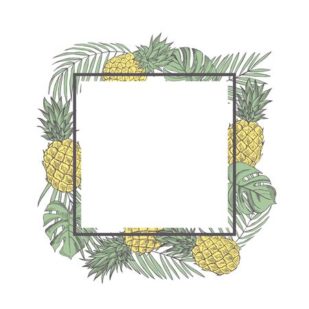 Vector summer frame  with hand drawn tropical plants and  pineapples.  Sketch  illustration.のイラスト素材
