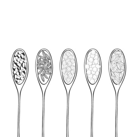 Hand drawn wooden spoons with spices.  Vector sketch  illustration.のイラスト素材