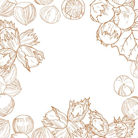  Vector background with hand drawn nuts. Hazelnut nut.  Sketch  illustration.のイラスト素材