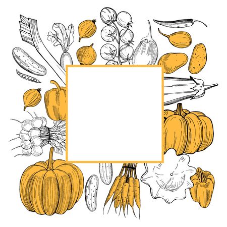 Vector frame  with  hand drawn vegetables. Sketch  illustration.  のイラスト素材