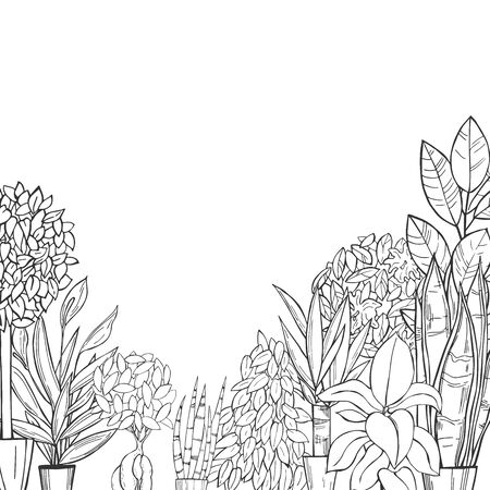 Vector background with hand drawn houseplants. Sketch  illustration.のイラスト素材