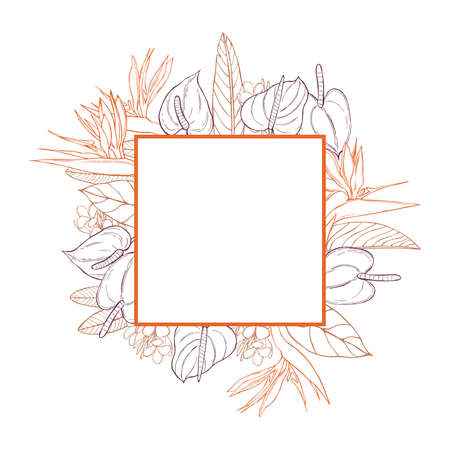 Vector frame with hand drawn tropical plants. Leaves and flowers.のイラスト素材