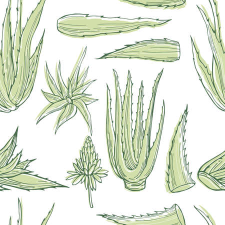 Hand drawn aloe vera plant. Vector seamless patternのイラスト素材