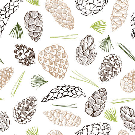 Vector seamless pattern with hand drawn pine cones.のイラスト素材