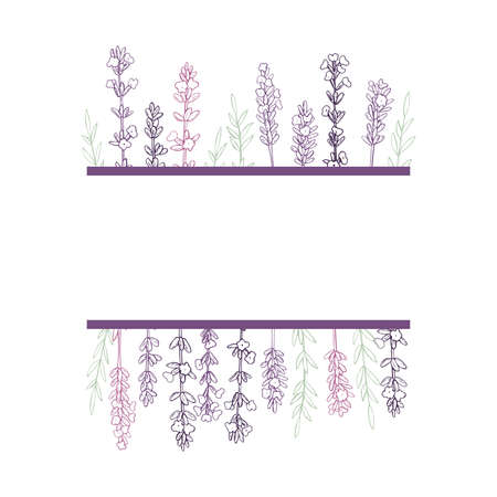 Vector frame with hand drawn lavender.Sketch illustration.のイラスト素材