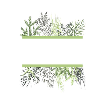 Vector frame with Christmas plant. Hand-drawn ilustration.のイラスト素材