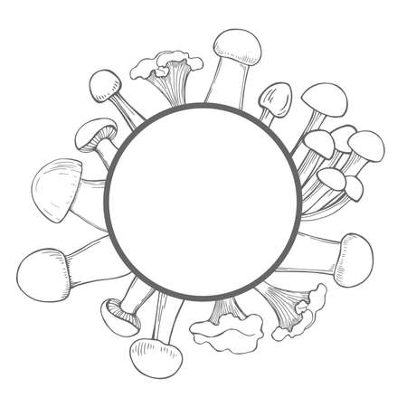 Vector frame with hand drawn mushrooms.のイラスト素材