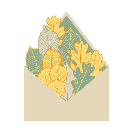Autumn leaves in an envelope. Vector illustration.のイラスト素材