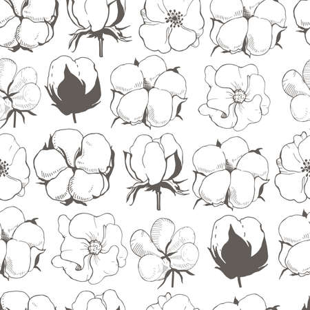 Vector seamless pattern with cotton plant flower. Line illustration of cotton flowers.のイラスト素材
