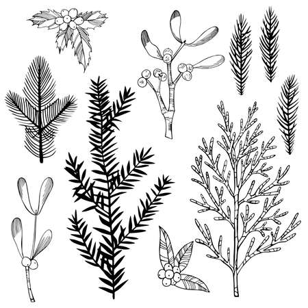 Christmas plants set. Vector hand-drawn illustration.のイラスト素材