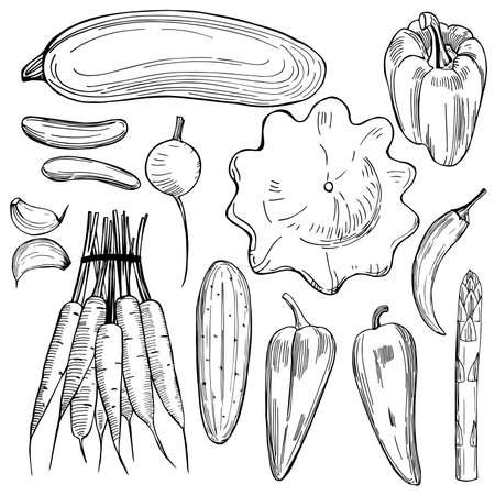 Hand drawn vegetables on white background. Vector sketch illustration.のイラスト素材