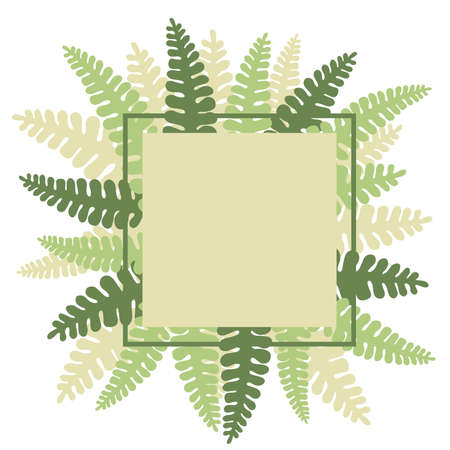 Vector frame with hand drawn fern.のイラスト素材