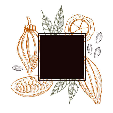 Vector frame with hand-drawn cocoa beans.のイラスト素材