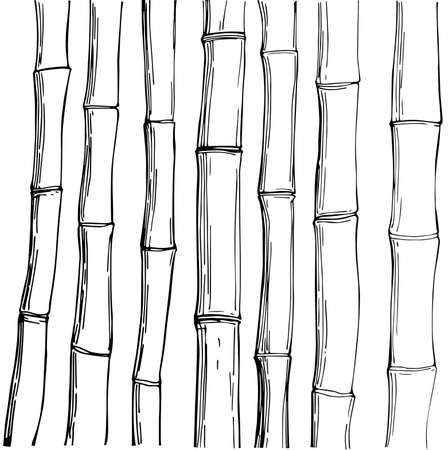 Bamboo. Vector sketch illustrationのイラスト素材