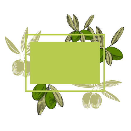 Vector frame with hand drawn olive branches.のイラスト素材
