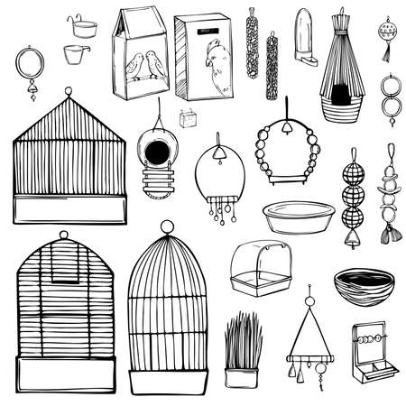 Hand drawn parrots stuff set. Toys, food, and pet care accessories. Vector sketch illustration.のイラスト素材
