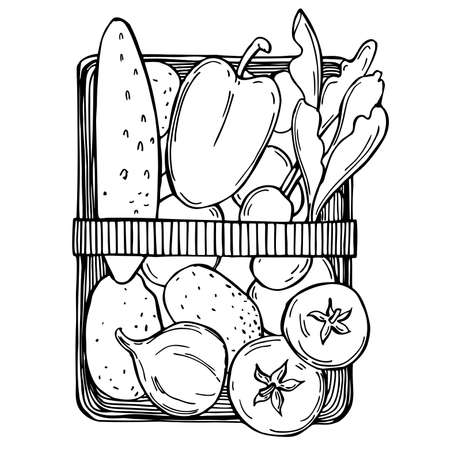 Hand drawn basket with vegetables. Vector sketch illustration.のイラスト素材