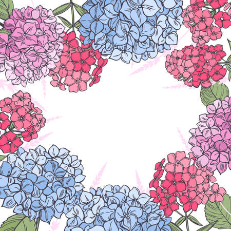 Vector background with hand drawn garden flowers. Hydrangeas and phloxes.のイラスト素材