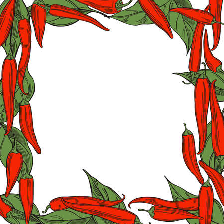 Vector background with hand drawn chili peppers.のイラスト素材