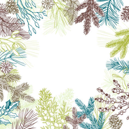 Vector background with hand drawn Christmas plants. Sketch illustration.のイラスト素材