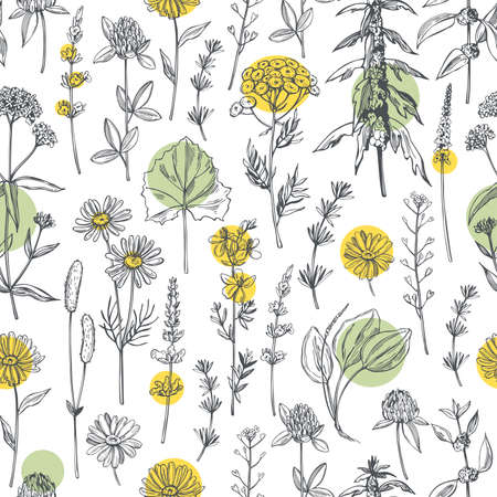 Hand drawn medicinal herbs.Vector seamless pattern.のイラスト素材