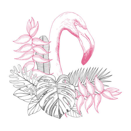 Flamingos and tropical leaves with flowers. Vector sketch illustration.のイラスト素材