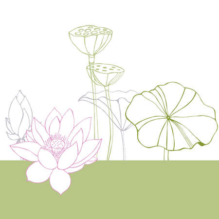 Vector background with lotus.のイラスト素材
