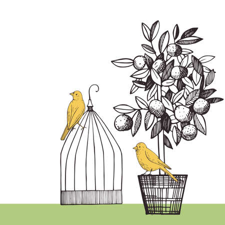 Background with canaries and citrus plant. Vector sketch illustration.のイラスト素材
