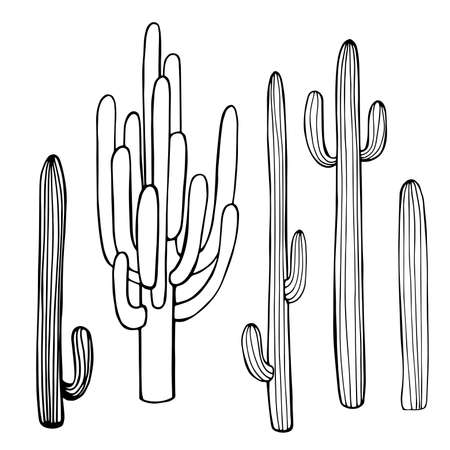 Hand drawn cacti. Vector sketch illustration.のイラスト素材