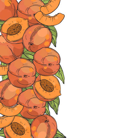 Hand drawn peaches background.のイラスト素材