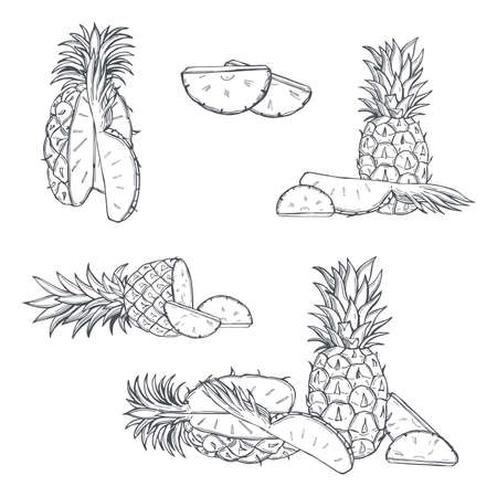 Hand drawn pineapple on white background.Vector sketch illustration.のイラスト素材