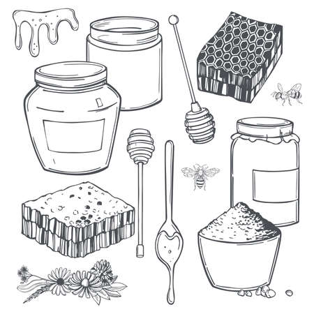 Hand drawn honey set. Vector sketch illustration.のイラスト素材
