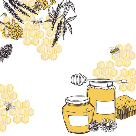 Hand drawn honey set. Sketch illustration. Vector background.のイラスト素材