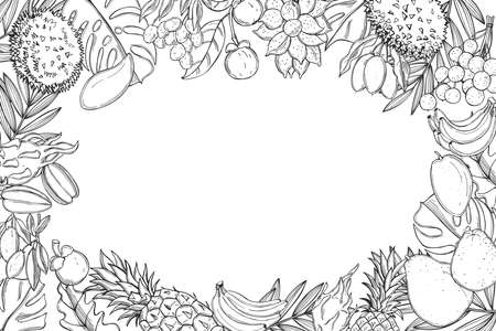Hand drawn tropical fruits. Vector background. Sketch illustration.のイラスト素材