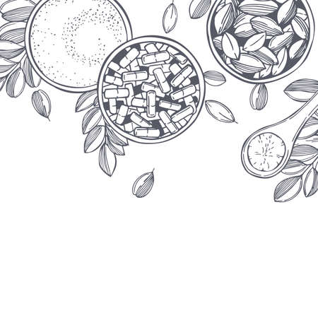 Hand drawn moringa oleifera. Vector background. Sketch illustration.のイラスト素材