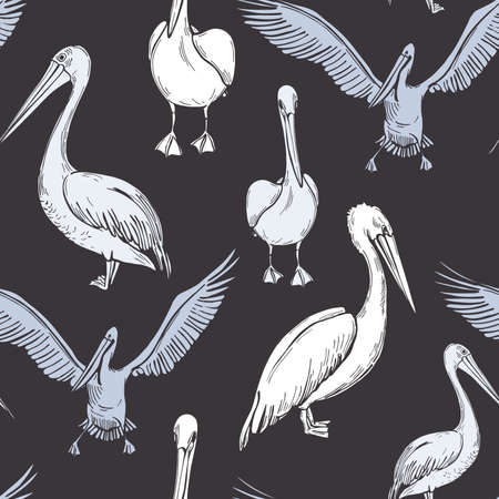 Pelicans on gray background. Vector seamless patternのイラスト素材