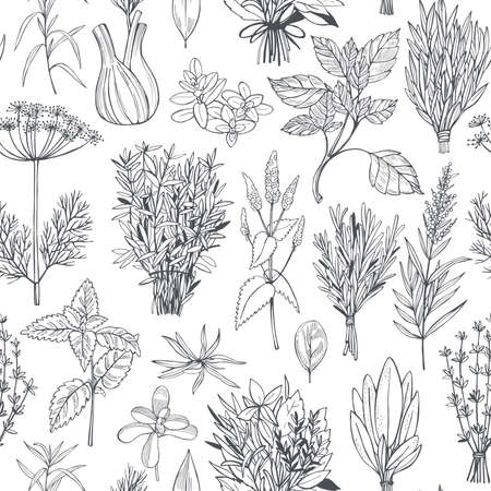 Hand drawn spicy herbs. Vector seamless pattern.のイラスト素材