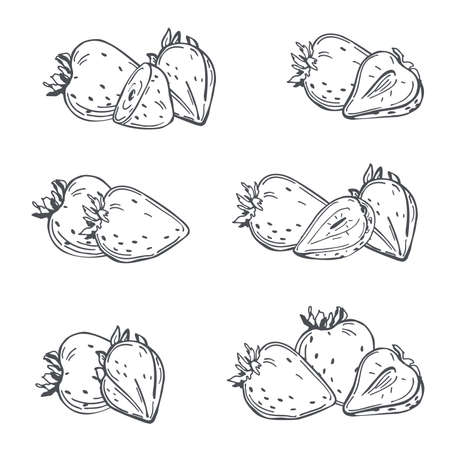 Hand drawn strawberry on white background. Fruits, flowers, leaves. Vector sketch illustrationのイラスト素材