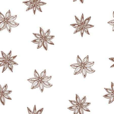 Hand drawn star anise on white background.Vector seamless pattern.のイラスト素材