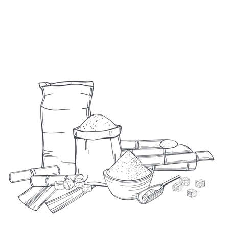 Hand drawn sugarcane and sack bags of sugar. Vector background. Sketch illustration.のイラスト素材