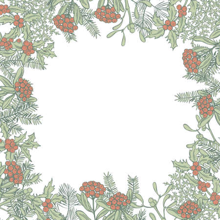 Vector background with hand drawn Christmas plants. Sketch illustration.のイラスト素材